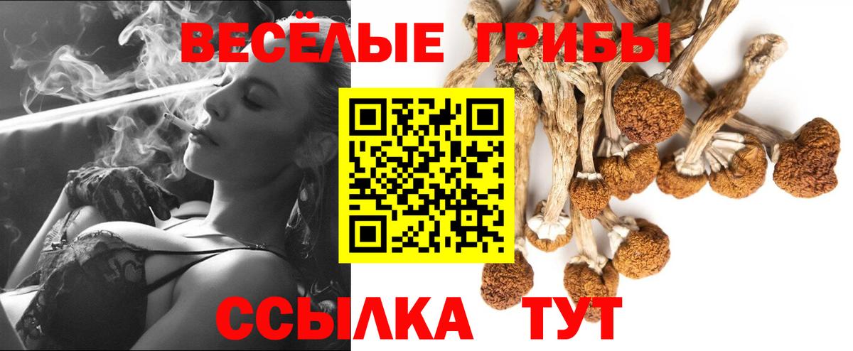 наркошоп  Галлюциногенные грибы GOLDEN TEACHER  Соль-Илецк  Вход с VPN  Галлюциногенные грибы Psilocybe 