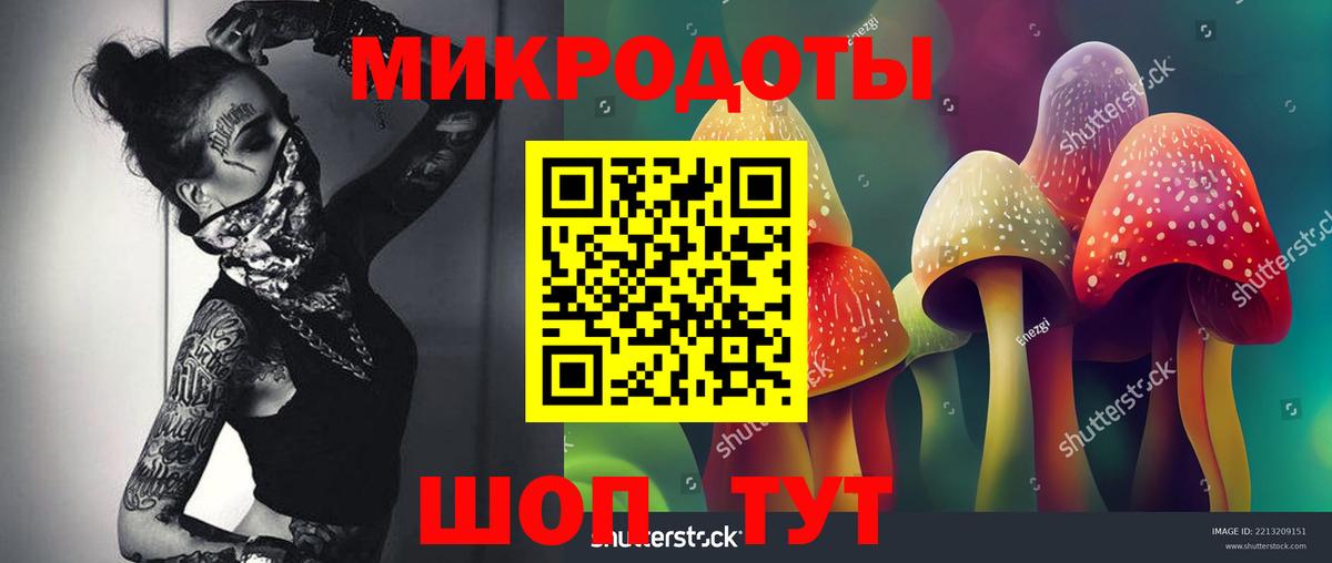 Галлюциногенные грибы Cubensis Соль-Илецк